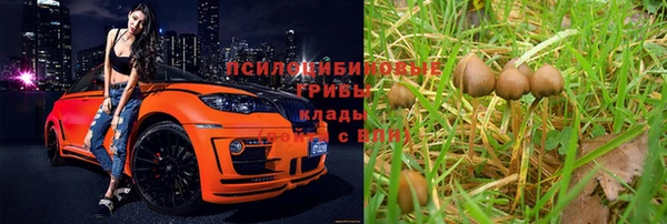 ПСИЛОЦИБИНОВЫЕ ГРИБЫ Ростов