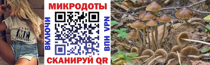 мега вход  Феодосия  Псилоцибиновые грибы мицелий  купить наркотики сайты 